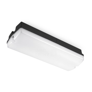 FL51055  Flurbeleuchtung Schwarz