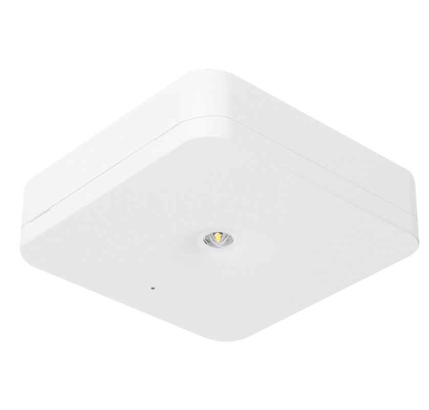 https://abc-licht.de/storage/cache/1894/04096993af536017298d9b3c3a85bfb9/Sicherheitsleuchte_SLM-D31USC.png